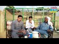 Interview superstar  kabooterbaz ustad liaqat  kala jatt 171 eb  punjabi shonki kabooteran de