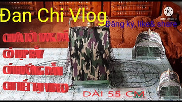 bẫy cút rừng/Quail trap/Hướng dẫn chi tiết cách làm lụp bẫy chim cút rừng chưa đầy 100k@Đan Chi Vlog