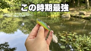 This Way Of Using A Popper Is Incredibly Effective For Catching Fish