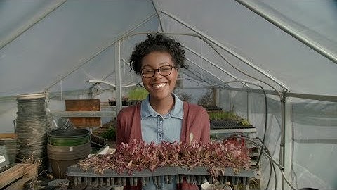 GVSU General Education program