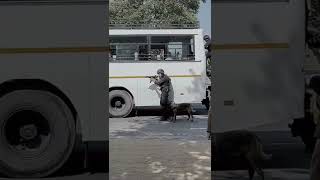 NSG Commandos Counter Bus Hijack Training | Belgian Malinois in Action