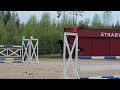 Avicii 7år e.I'm Special de Muze ue.Cassini ll. 1,35