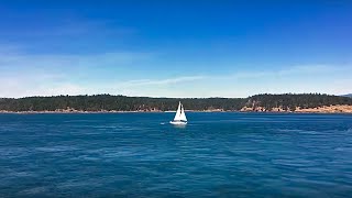 Washington State Ferry time lapse Net Worth