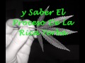 Fumo weed poetas malditos 2011 lyrics