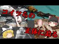 【衝撃！？】正体の明らかになった未確認生物(UMA)５選！！【ゆっくり解説】