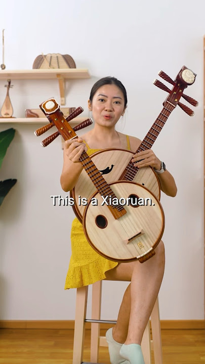 A Mini Zhongruan? #ruan #ruaninstrument #chinesemusic