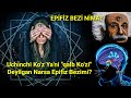 EPİFİZ BEZİ HAQİDA MA&#39;LUMOT EPİFİZ BEZİ NİMA? UCHİNCHİ KO&#39;ZİNGİZ BORLİGİNİ BİLASİZMİ?