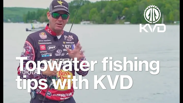 Fishing Topwaters in the right spots - bass fishin...