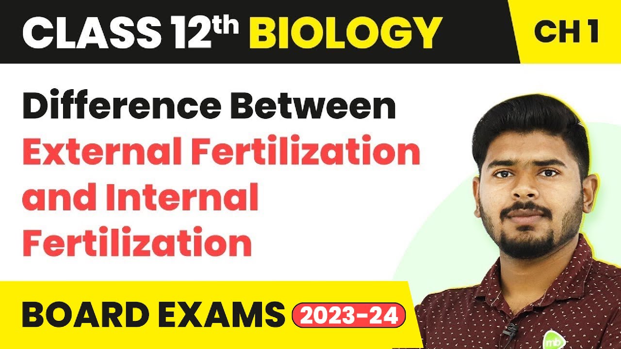 What Is External And Internal Fertilization With Examples?