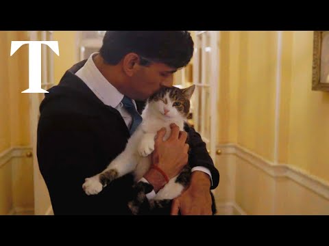 Rishi Sunak ?home alone? at No 10 in playful Christmas video