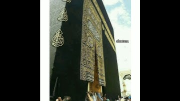 أواخر سورة مريم _ بصوت الشيخ : إبراهيم الأخضر .