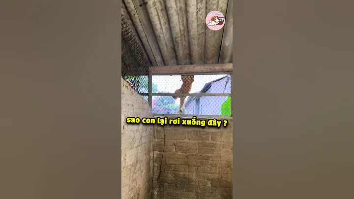 Chú mèo nói tiếng việt gào mồm cầu cứu Sen 😂 #gaudan