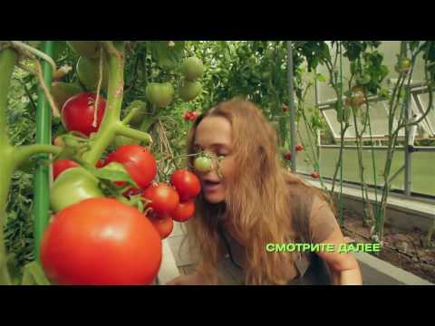 Самое вкусное за 2016 год от программы "Еда живая и мёртвая"