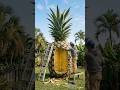pineapple Luxury House #live #luxury #usa #shorts