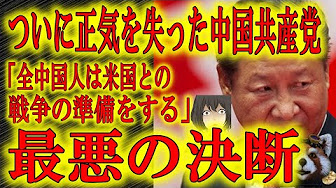 Y 闇のクマさん Y 闇のクマさん