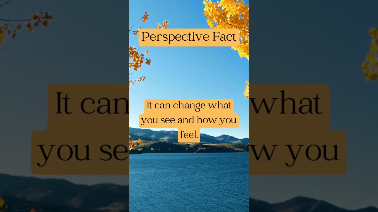 Perspective Fact #15 