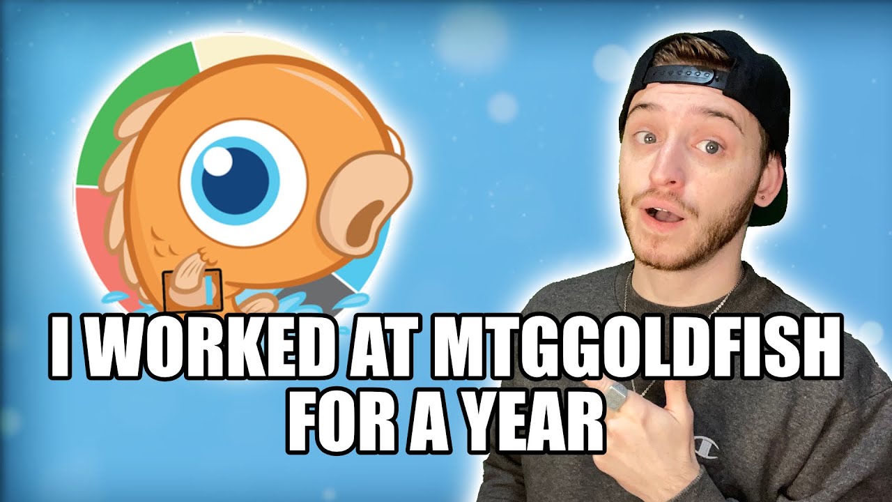 I Worked at MTGGoldfish For A Year YouTube
