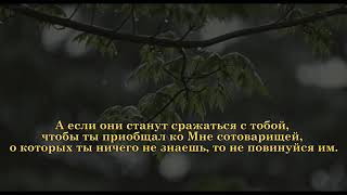 Абдуллах Хумейд | Аяты из суры «Анкабут»