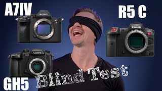 Sony A7IV vs Canon R5 C vs Panasonic GH5 - Blind Video Test