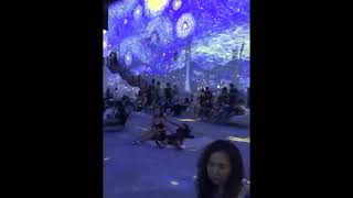 Part 2 | Van Gogh,The immersive experience