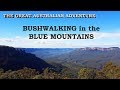 The great australian adventure bushwalking in the blue mountains