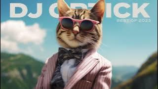 Dj Optick - BEST OF 2023 Mix