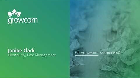 Fall Armyworm Webinar - Overview of current R&D projects, identification of gaps for future projects