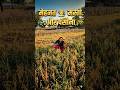 🌾 मेहनत लेवल = 100 💯#kisan