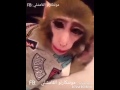 شفت العروسة