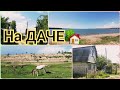 У ВИКИ НА ДАЧЕ🏡КАРАКОЛ ДАЧИ🏡ДАЧНЫЙ ПЛЯЖ🏖ИССЫК-КУЛЬ🌊река ДЖЕРГАЛАН🏞КЫРГЫЗСТАН🇰🇬