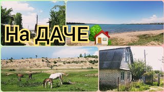 У ВИКИ НА ДАЧЕ🏡КАРАКОЛ ДАЧИ🏡ДАЧНЫЙ ПЛЯЖ🏖ИССЫК-КУЛЬ🌊река ДЖЕРГАЛАН🏞КЫРГЫЗСТАН🇰🇬