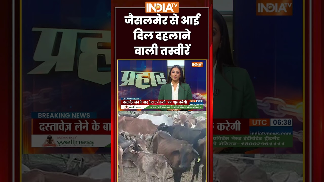 Jaisalmer Dead Cows | #dumpingyard में 500 से ज़्यादा गौवंश की मौत | #jaisalmer #deadcows