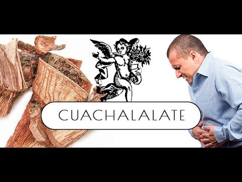 El cuachalalate sirve para bajar de peso