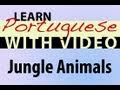 Learn Brazilian Portuguese with Video - Jungle Animals