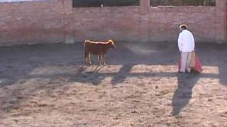 Charlotada san miguel6