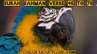 😍Surah Ar-Rahman| SOOTHING RECITATION 😍 screenshot 4