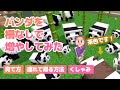 マイクラ パンダがかわいい癒し動画 繁殖の方法 育て方 くしゃみあり 茶色 解説音声なし そらむん 実況 統合版1 18 