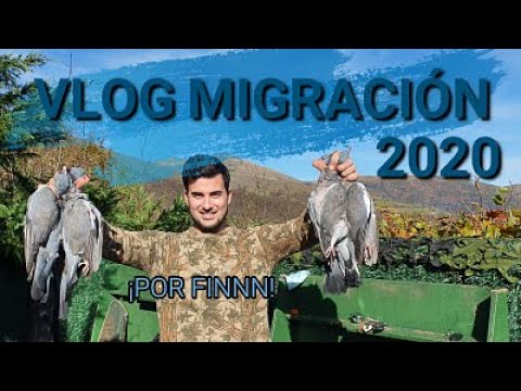 Migración 2020 VLOG. Dom 01 Nov. "POR FINNN"