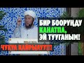 Садыбакас ажы Доолов. ЧУКУЛ КАЙРЫЛУУ!!! Тема: Бир бооруңду канатпа, эй тууганым!