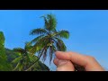 How to paint Palm Trees | Episode 165