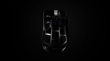 Feinmann | The First Edition