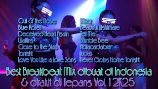 Best Breakbeat Mix dibuat di Indonesia & dirakit di Jepang Vol. 1 2K25