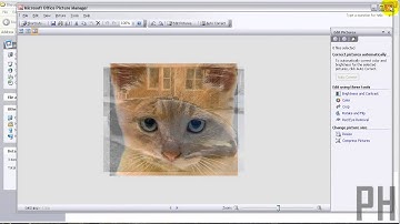 Compress Multiple Pictures at a Time [Microsoft Office]