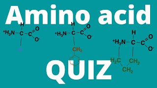 Amino acid QUIZ (How many amino acids can you memorize?) screenshot 1