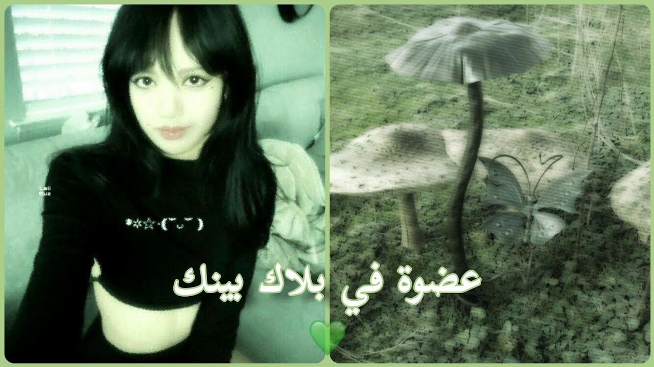 ماذا لو كنتي العضوة الخامسة من بلاك بينك{ملابسك-صوتك-MV} 💚