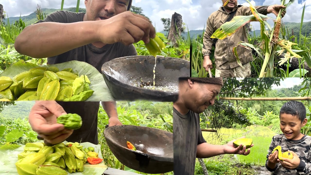 Eating unripe star fruit with Naga king chilly || jhim cultivation full update || Kents vlog.