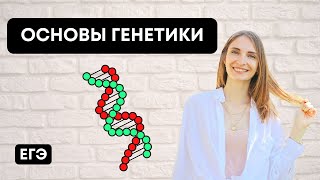 Основы Генетики