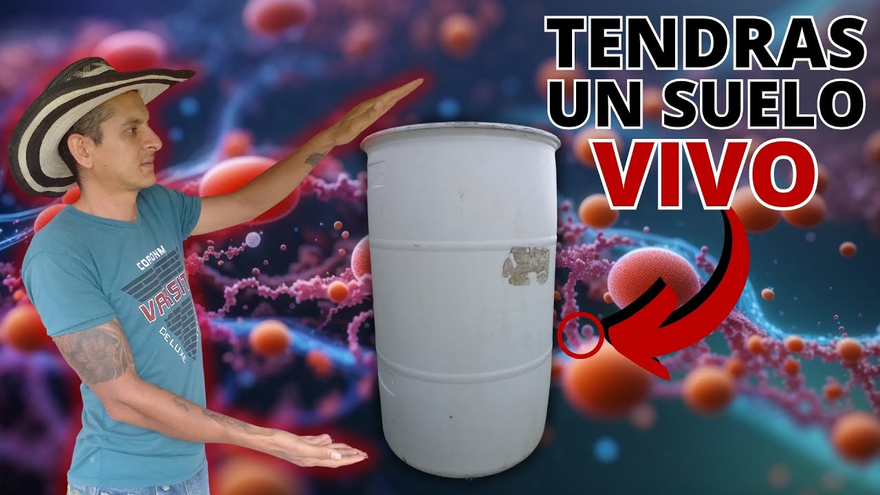 🔴👉 MULTIAPLICACIÓN De BACTERIAS FOTOTROFICAS Indispensables En La AGRICULTURA ORGANICA (2023)