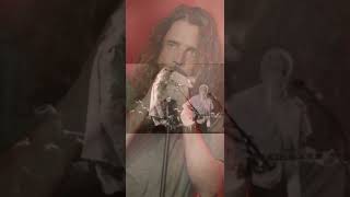View Chris Cornell and Cat Stevens Perform 'Wild World' Live