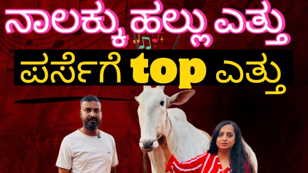 ನಾಲಕ್ಕು ಹಲ್ಲು ಎತ್ತು|| ಪರ್ಸೆಗೆ top ಎತ್ತು